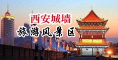 少妇的小穴中国陕西-西安城墙旅游风景区